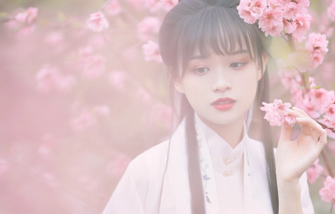 白纱汉服少女花林长廊写真,编发缀粉花