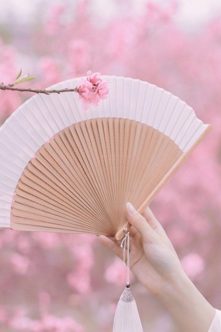 白纱汉服少女花林长廊写真,编发缀粉花