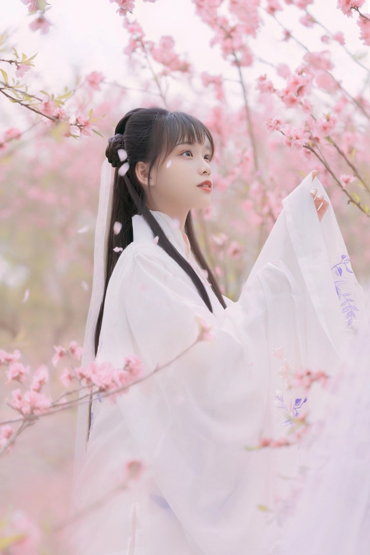 白纱汉服少女花林长廊写真,编发缀粉花