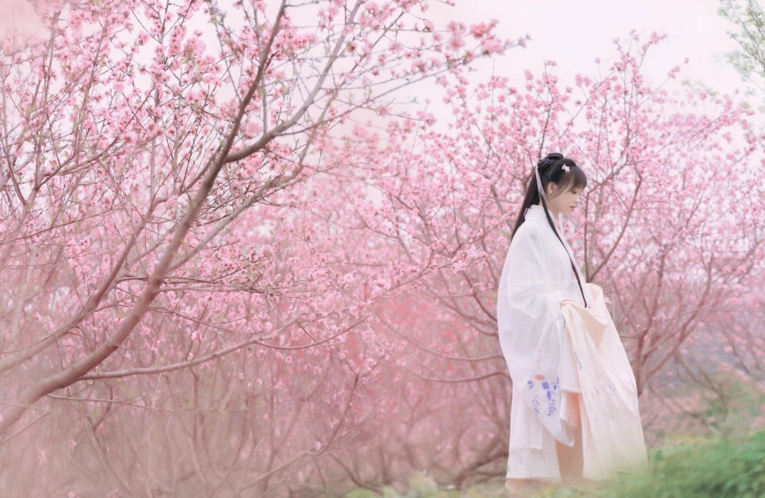 白纱汉服少女花林长廊写真,编发缀粉花
